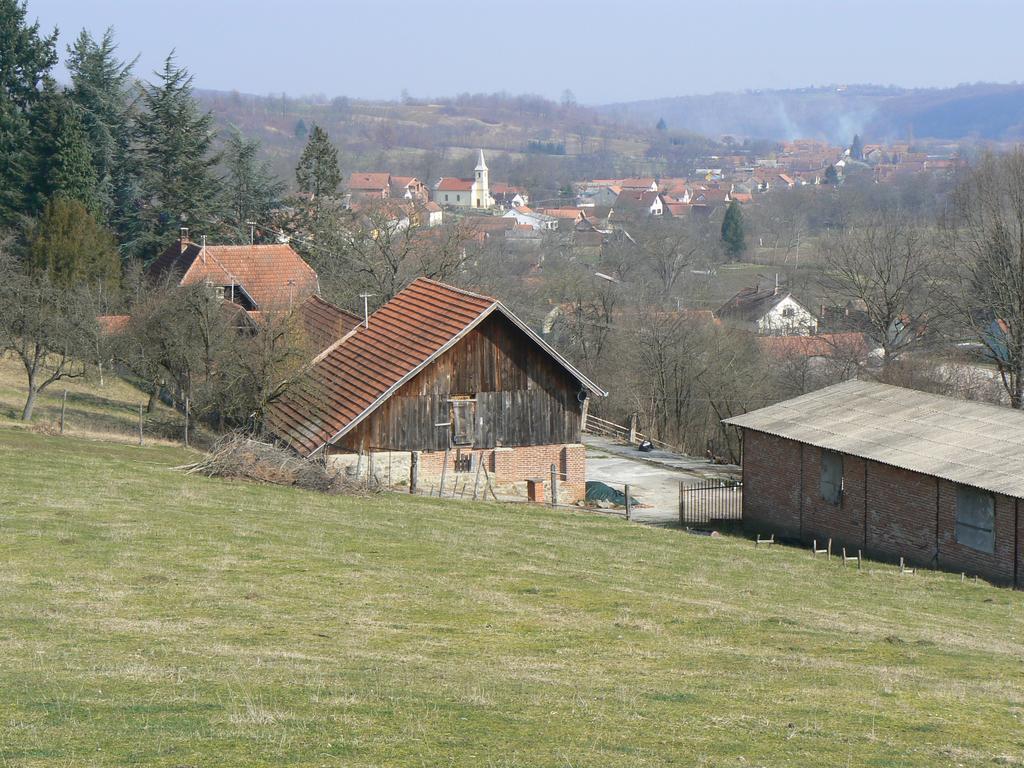 Country House Stoljetna Vila Guest House Seona Bagian luar foto